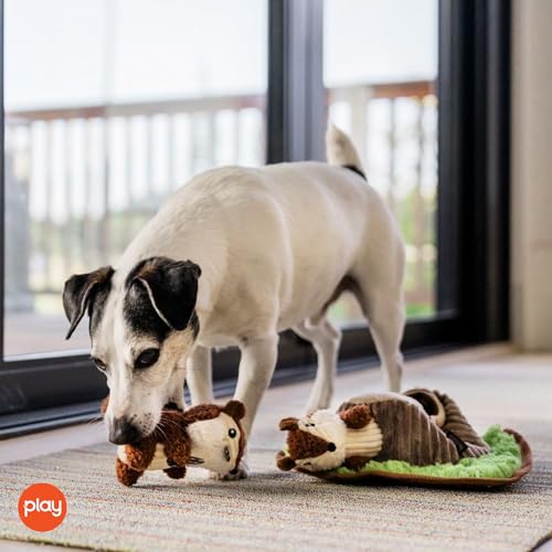 P.L.A.Y. Cute Plush Dog Toys - Forest Friends Critter Themed Durable Interactive Squeaker Chew Toy, Great for Puppies & Small, Medium, Large Dogs - Machine Washable, Recycled Materials (Chipmunks) - style: Chippy and Cheeks the Chipmunks