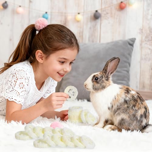 Toddmomy Rabbit Chew Toys 20pcs Loofah Teeth Grinding Toys Small Animal Tooth Cleaning Tools for Guinea Pig Chinchilla Hamster