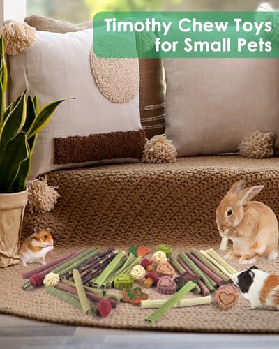 ERKOON 53 Bunny Chew Toys for Rabbits Teeth, Natural Rabbit Toys Apple Wood Sticks, Carrot, Timothy Grass for Small Pets, Hamster, Chinchilla, Guinea Pig Dental Care and Treat Teething(53) - size: 53