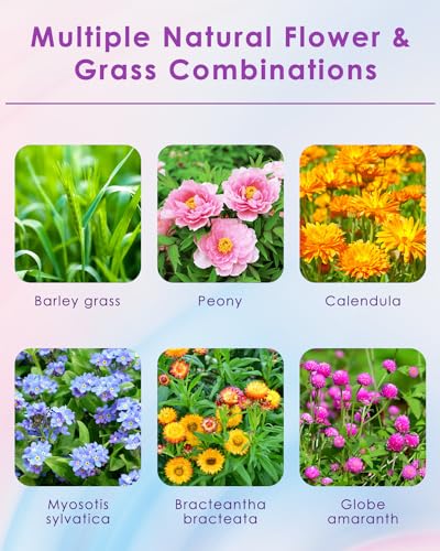 Bissap Natural Flower & Herb Hamster Bedding 300g/10.5oz, Small Animal Flower Habitat Decor for Syrian Dwarf Hamster Gerbil Chinchilla Mice Degu and Other Small Pet Flower Bedding Odor Control Forage