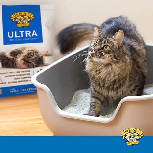 Dr. Elsey's Ultra UnScented Clumping Clay Cat Litter 40 lb. Bag - size: 40 lb
