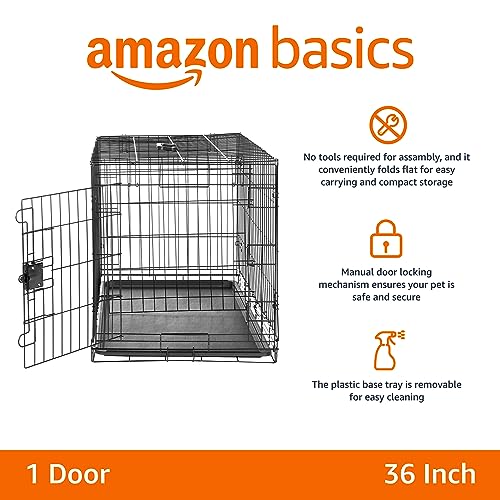 Amazon Basics Portable Metal Wire Dog Crate with Removable Tray, Single Door with Divider Panel, Foldable, Collapsible, Easy to Assemble & Clean, 36" x 23" x 25", Black - size: 36 x 23 x 25 in, style: Single Door w/ Divider