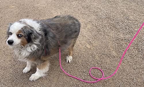 12-Foot Mini Pig Harness - Adjustable Harness & Leash for All Animals - Pigs, Ferrets, Rabbits, Guinea Pigs, Dogs, Cats, Reptile, and Chickens - color: Pink