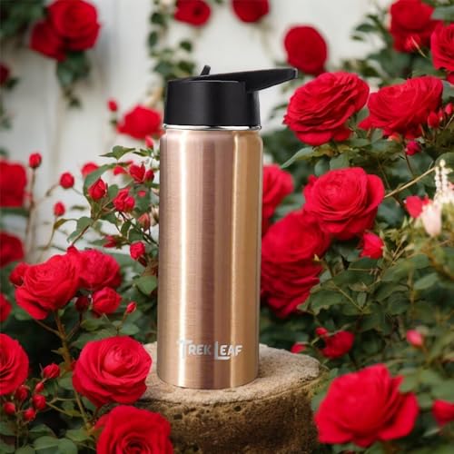 Travel Water Bottle with 3 Lids (Spout, Straw, Flip) Leak Proof, Quality, Vacuum Insulated, Stainless Steel (Rose Gold, 18 oz) - color: Rose Gold, size: 18 Ounces