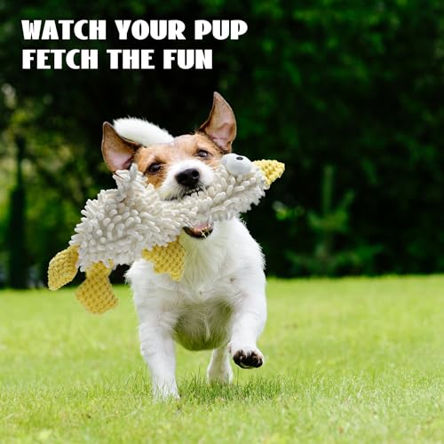 Nocciola 5 Packs Squeaky Dog Toy Plushies, Cute Soft Squeak Crinkle Plush Stuffed Durable Pet Animal Chew Puppy Toys for Small Meidum Large Breed - style: Bundle