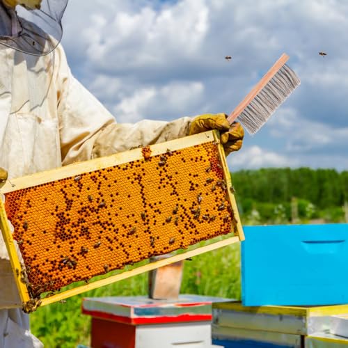 Beekeeping Brush for Beekeepers, Soft Bristles Cleaning Brush with Ergonomic Wooden Handle - Gentle Cleaning Tool for Durable Use, Bee Hive Supplies Beekeeping Equipment for Bee Keepers