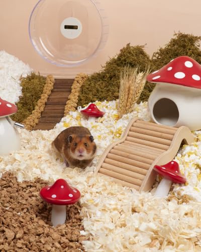 Niteangel Hamster Chew & Decor Toys: Pack of 2 Mushroom-Shape & Beech Wood | Chew-Friendly Design to Control Tooth Overgrowth for Syrian Dwarf Hamster Gerbils Mice Lemming Degu or Other Small-Sized Pets - size: Mushroom-Shape
