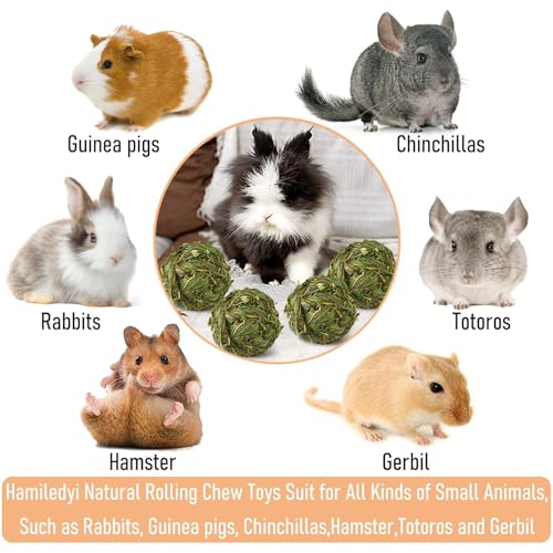 Hamiledyi 12 Pcs Rabbit Chew Ball Timothy Grass Ball Small Animal Activity Play Chew Toys Teeth Grinding for Bunny Rabbits Hamster Guinea Pigs Gerbils Chinchillas - style: Round 12 PCS