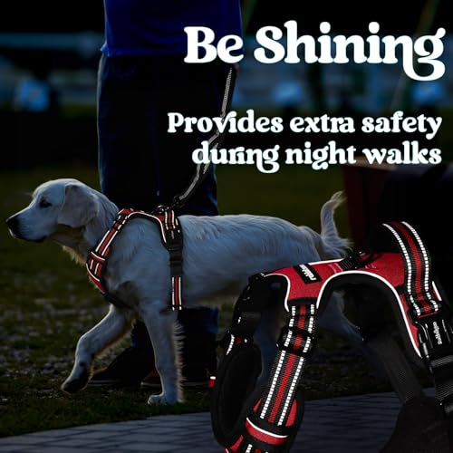 rabbitgoo Dog Harness Small Sized, Updated Easy On & Off with 3 Buckles | No Pull No Choke, Walking with 2 Clips and Handle, Adjustable Soft Reflective, Red, Small - color: Red, size: Small