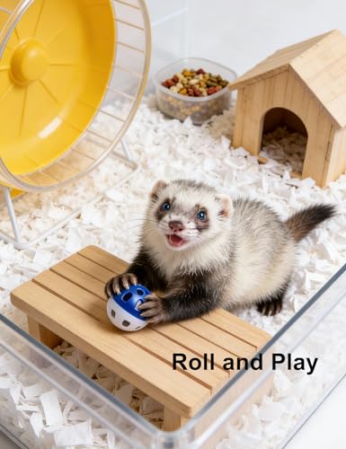 10-Pack Ferret Ball Toys Ferrets, PP Material | Interactive Play, Solo Play, Non-Toxic, Built-In Bell, 1.5 in - 2.2 in - size: 1.5'' - 2.2''