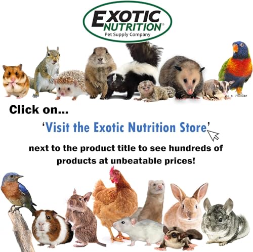Treadmill Wheel 14" Black - All Metal Exercise Wheel for Chinchillas, Prairie Dogs, Rats, Hedgehogs, Sugar Gliders, Squirrels, Degus, Hamsters & Other Small Animals - Smooth, Fast, Silent, Durable