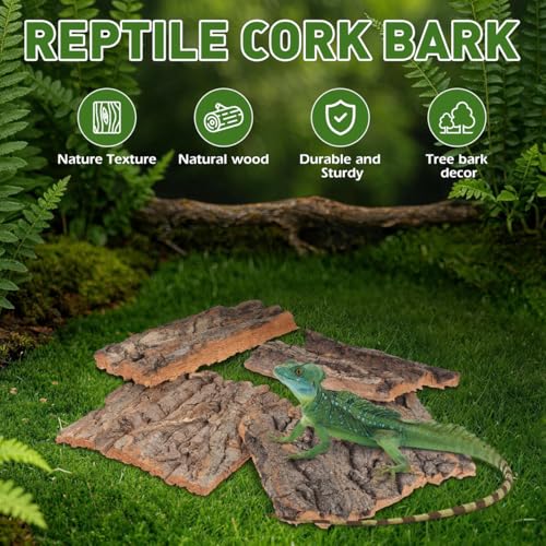 NOLITOY Reptile Bark Climbing Platform 4 Pcs Natural Tree Bark Terrarium Decor for Small Pets Snake Lizard Tortoise Hideout and Habitat Accessories