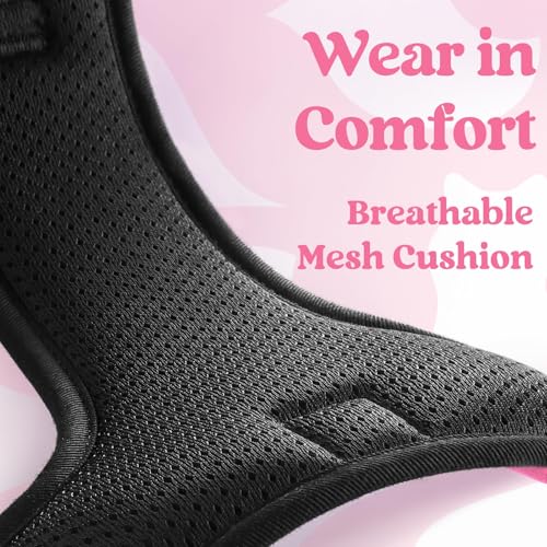 rabbitgoo Dog Harness Small Sized, Updated Easy On & Off with 3 Buckles | No Pull No Choke, Walking with 2 Clips and Handle, Adjustable Soft Reflective, Rose Pink, Small - color: Rose Pink, size: Small