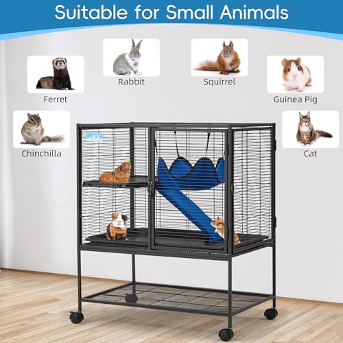 HABUTWAY 36.5''H Large Metal Rolling Ferrets Cage, 2-Tiers Small Animal Cages, Cage for Rats/Chinchillas, 0.5'' Bar Spacing for Ferret,Small Animal Cage w/Removable Ramp & Platform - size: 30.3"L x 20.5"W x 36.0"H
