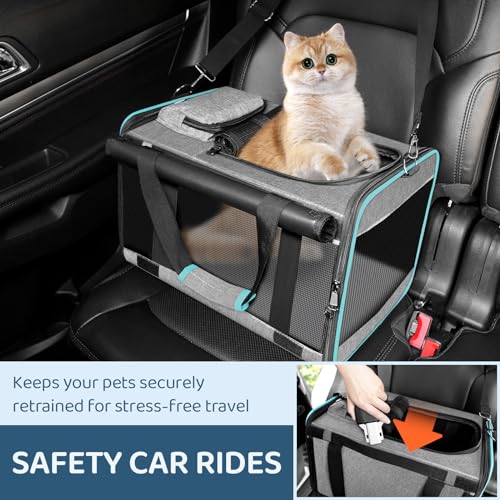 GAPZER Cat Carrier American, United, Delta Airline Approved Soft Travel Bag | Pet Airplane Crate Medium Cat 15 lbs Privacy Curtatin, Small Dog Crate Under 10 Pound TSA Approved Softsided Carry Cage Cabin - size: 17"x11"x11"