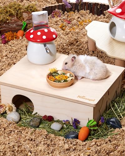 Niteangel Hamster Snack & Treats Toy: - Small Animal Natural Treat Mix for Dwarf Syrian Robo Hamsters Gerbils Mice Lemmings Degus or Other Small-Sized Pets (Vegetable Combo - 40g)