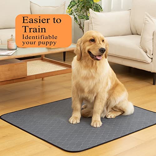 Bunlitent Washable Pee Pads for Dogs 5 Pack, 36x41, Reusable Puppy Pads, Dog Training Pads with Quick Dry, Anti-Slip Dog Cat Pee Pads, Whelping Pads, Potty Pad - color: Gray, size: 36x41 Rectangle-5Pack