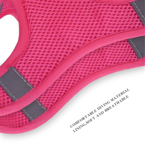 Step in Dog Harness No Pull Flower Adjustable Soft Mesh Harness | Reflective Escapeproof Pet Vest Harness and Leash Set for Small Medium Dogs - color: Rose red, size: S(neck:10.5"-12",chest:13.5"-16")