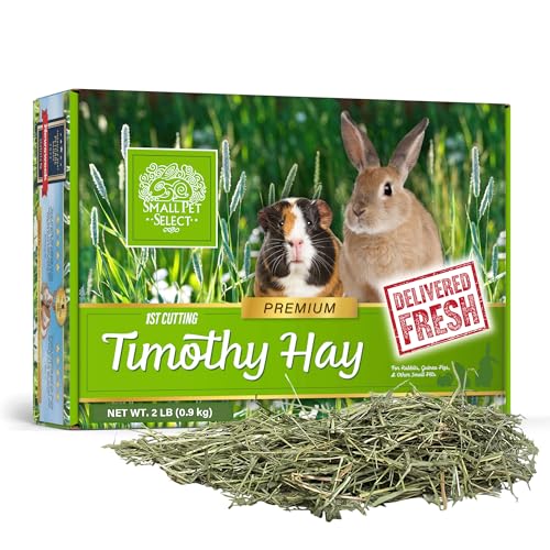 Small Pet Select 1st Cutting Timothy Hay for Rabbits & Guinea Pigs, 2 lb | High Fiber Natural Hay, Grown in USA, Long Coarse Strands for Dental Wear, For Chinchillas, Hamsters, Bunnies & Small Pets - size: 2 Pound (Pack of 1)