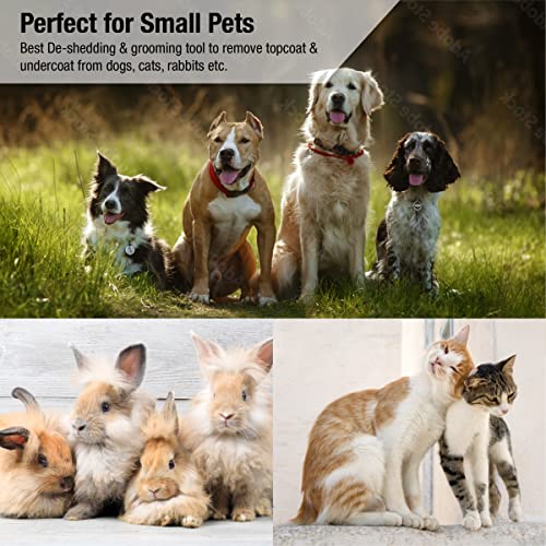 King Kanine Mini King Komb Pet Grooming Brush, Self Cleaning Deshedding | Multi-Use Tool for Cats & Kittens of All Life Stages | Mini Brush Pet for Grooming and Loose Hair | Perfect for Small Coats - size: Small (Pack of 1)