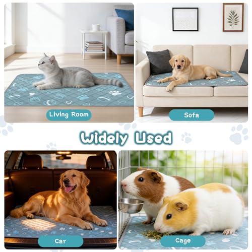 3 Packs Washable Guinea Pig Cage Liners with with Paw Print, Waterproof Guinea Pig Pee Pads Reusable Absorbent Bedding Anti Slip Mats for Small Animals Bunny Rabbit Hamster (Blue, 47 x 24in) - size: 47 x 24in / 3 Packs
