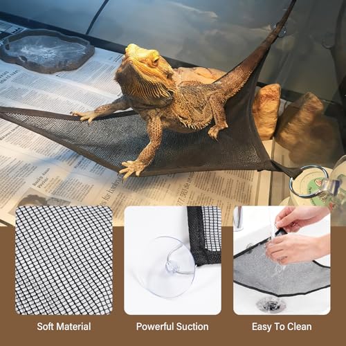 2PCS Snake Enrichment, DIY Snake Climbing Toys with Hammock, Reptiles Tank Accessories for Corn Snakes, Bearded Dragon, Chameleon, Ball Python Tank Accessories (Set) - color: Ring And Hammock