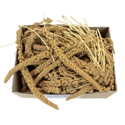 A&E Cage Co AE9054 French Spray Millet Bird Treat, 12 Sprays, 6 oz Bag | Grown in France, Natural Whole Sprays, Encourages Foraging, For Budgies, Cockatiels, Finches & Small Birds - size: 6 Ounce