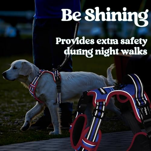 rabbitgoo Dog Harness Small Sized, Updated Easy On & Off with 3 Buckles | No Pull No Choke, Walking with 2 Clips and Handle, Adjustable Soft Reflective, Blue & Red, Small - color: Blue & Red, size: Small