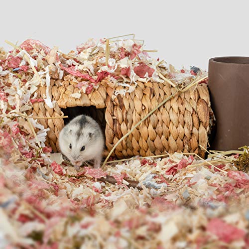 Niteangel Creative & Composable Hamster Tunnel: Edible Water Hyacinth & DIY | Mimic Wild Underground Habitat & Build Unique Burrow as Hideout for Small Sized Animals Like Hamsters Mouse Gerbils Mice - size: SHLD