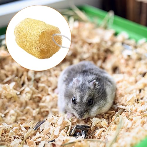 12 Pcs Rabbit Chew Toys Natural Bunny Loofah Chew Toy Chinchilla Teeth Grinding Toys Guinea Pig Fibre-Rich Treats Enrichment Bunny Accessories for Rabbits Hamster (M) - color: M- (12 PCS)