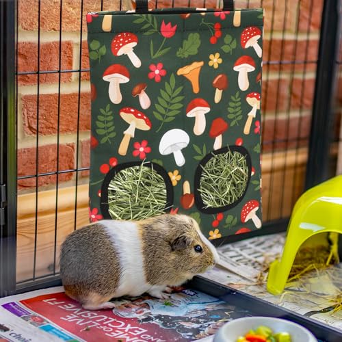 JarThenaAMCS 2Pcs Rabbit Hay Feeder Bag with 2 Holes 11.5 x 9 Inch Mushroom Guinea Pig Hanging Hay Feeding Bag Storage Dispenser for Chinchilla Hamster Bunny Small Animal Pet