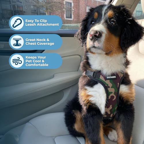 Voyager Step-in Lock Dog Harness - Army/Black Trim, Medium | 17 - 21" in Chest, Adjustable, Breathable Air Mesh, Lightweight for Daily Walks, Strong Clips, Heavy Duty D-Ring - color: Harness (Army/Black Trim), size: M (Chest: 17 - 21")