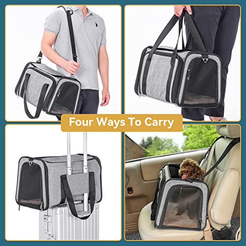 Petsfit Expandable Cat Carrier, 16"X10" X9" Pet Carrier Airline Approved, Soft-Sided Collapsible, Pet Carrier with Locking Safety Zippers, Removable Soft Plush Mat, Pocket for Pets up to 10lbs, Gray,S - color: Gray, size: 16.0"L x 10.0"W x 9.0"H