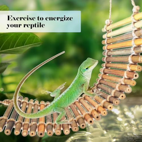 kathson Reptile Bridge for Terrarium,Bearded Dragon Wooden Bridges Gecko Hammock with Hanging Plants Lizard Lounger Bamboo Ladder Reptiles Tank Accessories Climbing for Chameleons Geckos Snakes (3Pcs) - size: Medium