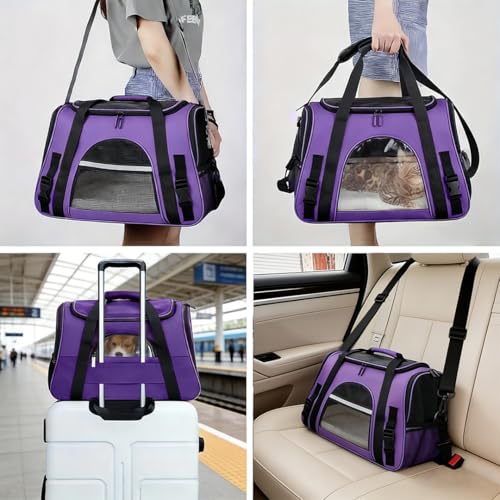 Cat Carrier Bag, Airline Approved Soft Carrier for Cats & Small Dogs | Airline approved pet carrier for pets under 15lb, breathable mesh with privacy cover, lightweight, foldable & washable - color: Purple