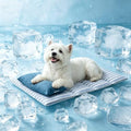 Dog Cooling Mat for Dogs, Cooling Bed for Dogs | 29”×18” Breathable Cooling Mat for Small Dogs, Q-Max 0.485 Portable Washable Pet Cooling Mat for Dog Bed with Pillow - size: Medium（28.4”×18.5”）