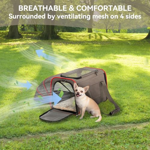 Petsfit Expandable Cat Carrier Dog Carriers,Airline Approved Soft-Sided Portable Pet Travel Washable Carrier for Kittens,Puppies,Removable Soft Plush mat and Pockets,Locking Safety Zippers | 17 x 11 x 11 in; sized for Delta Air Lines, with locking zippers