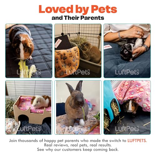 LUFTPETS Guinea Pig Cage Liners 5 Pcs, Washable Midwest Pads & Fleece Mats | 2 Absorbent Bunny Pee Pads 47x24, 3 Soft Blankets. Top Releases Hay. Waterproof Non-Slip Rabbit Bedding