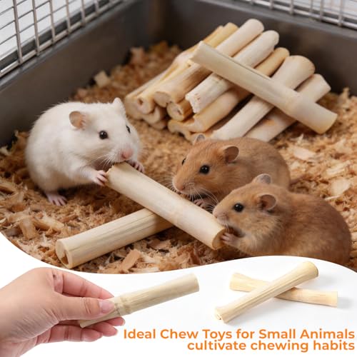 300g Sweet Bamboo Chew Toy Natural Sweet Bamboo Animals Molar Chew Sticks Toys Pet Snacks Bamboo Sticks Treats - size: 300g