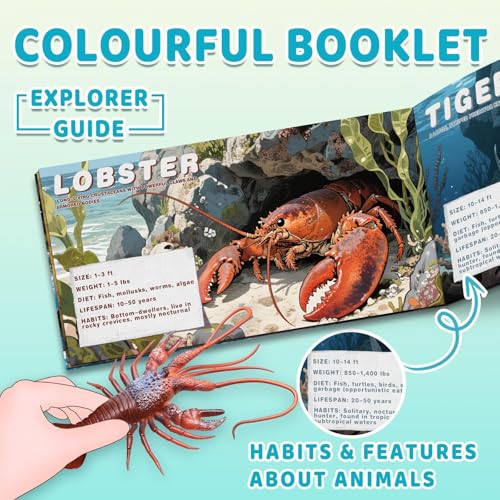 MOEAWS 20 Pcs Ocean Animal Toys withBooklet, Mini Sea Creature Figures | Plastic Sea Animal for Kids Age 3+, Birthday Gift, Ocean Theme Party Favor, Water Bath Toy for Toddler