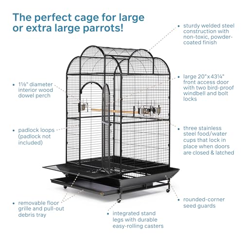 Prevue Hendryx Silverado Macaw Dometop Cage 3155S Silverado 46-Inch by 36-Inch by 78-1/4-Inch - color: black