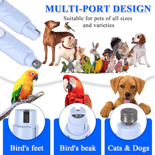 Bird Nail Grinder with Nail Clippers and Nail File for Parrots | Automated Bird Beak Grinder 3-in-1 Nail Care Kit for Parrots Budgies Parakeets Finches and Lovebirds Hamsters Rabbits