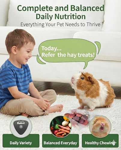 Bunny Hay Spinner Chew Toy with Treats | 4Flavor Hay Cakes,Pet Dental Health Toys Cage Hanging Toy for Rabbits, Guinea Pigs,Chinchillas (Black)