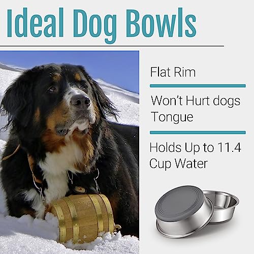 Nonslip Stainless Steel Dog Bowls, 11.4 US Cup, 2 Count | No slide silicone bottom, Dishwasher safe, Easy to clean, Stackable design - size: 11.4 Cup