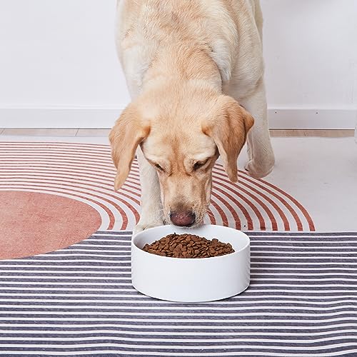 6'' Ceramic Dog Bowl - 30Oz Classic Dogs Food & Water Bowl for Small and Medium Breed Dogs, Heavy Duty Non-Slip Dog Dishes, Food Grade Stoneware Pet Bowl, Dishwasher & Microwave Safe, White - color: Bowl - White, size: 6 inch