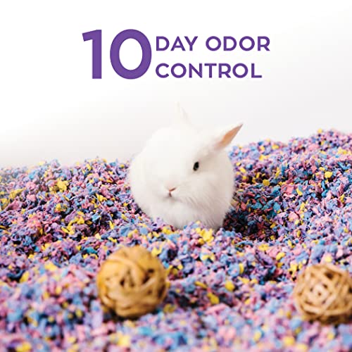 Carefresh Confetti Small Pet Bedding, 99% Dust-Free Natural Paper with Superior 10 Day Odor Control & Absorption for Guinea Pigs, Hamsters, 50L, (Pack May Vary) (L0410) | 2X more absorbent, 99% dust free, odor control, Biodegradable and compostable, For h
