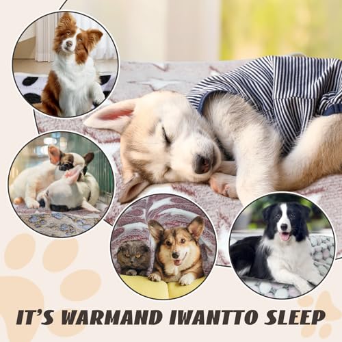 YedsIntu 6 Pcs Washable Guinea Pig Blankets Absorbent Small Animal Fleece Bedding Cage Liners Reusable Pet Pee Pad Sleep Mat Pad Cover for Hamster Ferret Rabbit Chinchilla Hedgehog (24" x 47") - color: 6 Black Bulk, size: 24" x 47"