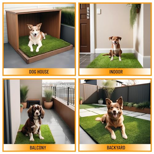 Ottomanson Artificial Grass Puppy Potty Training Pad with Tray, 15" x 30" Reusable Pee Pad for Small Pets and Dogs - color: Black Tray/Grass, size: 1'3" x 2'6" (Pet)