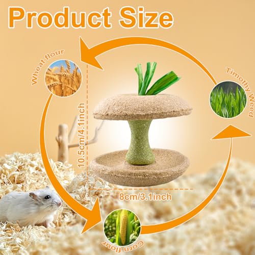 Hamster Chew Toys, Bunny Chew Bowl, Natural Chew Toys for Hamster, Rabbit, Guinea Pig, Chinchilla