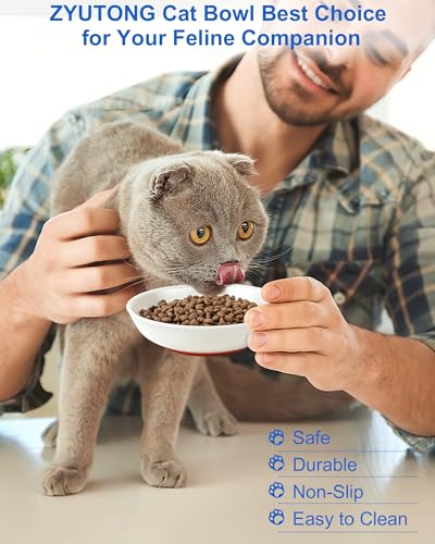 Ceramic Cat Bowl Whisker Friendly, Non-Slip Cat Food Bowls 6-Pack | Whisker Fatigue Cat Dishes, Shallow Wide Cat Plate, Lead-Free, Silicone Base, Microwave Dishwasher Safe, Wet Dry Food Water - color: 6 Packs